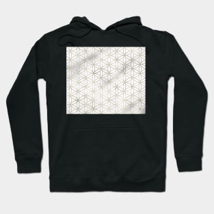 Notre-Dame golden marble Hoodie